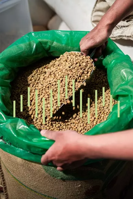 supplier biji kopi labr roastery malang