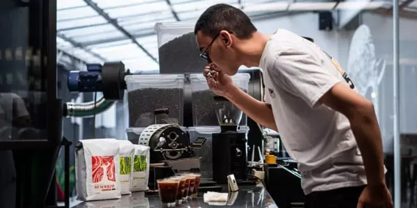 supplier kopi bubuk untuk bisnis horeca