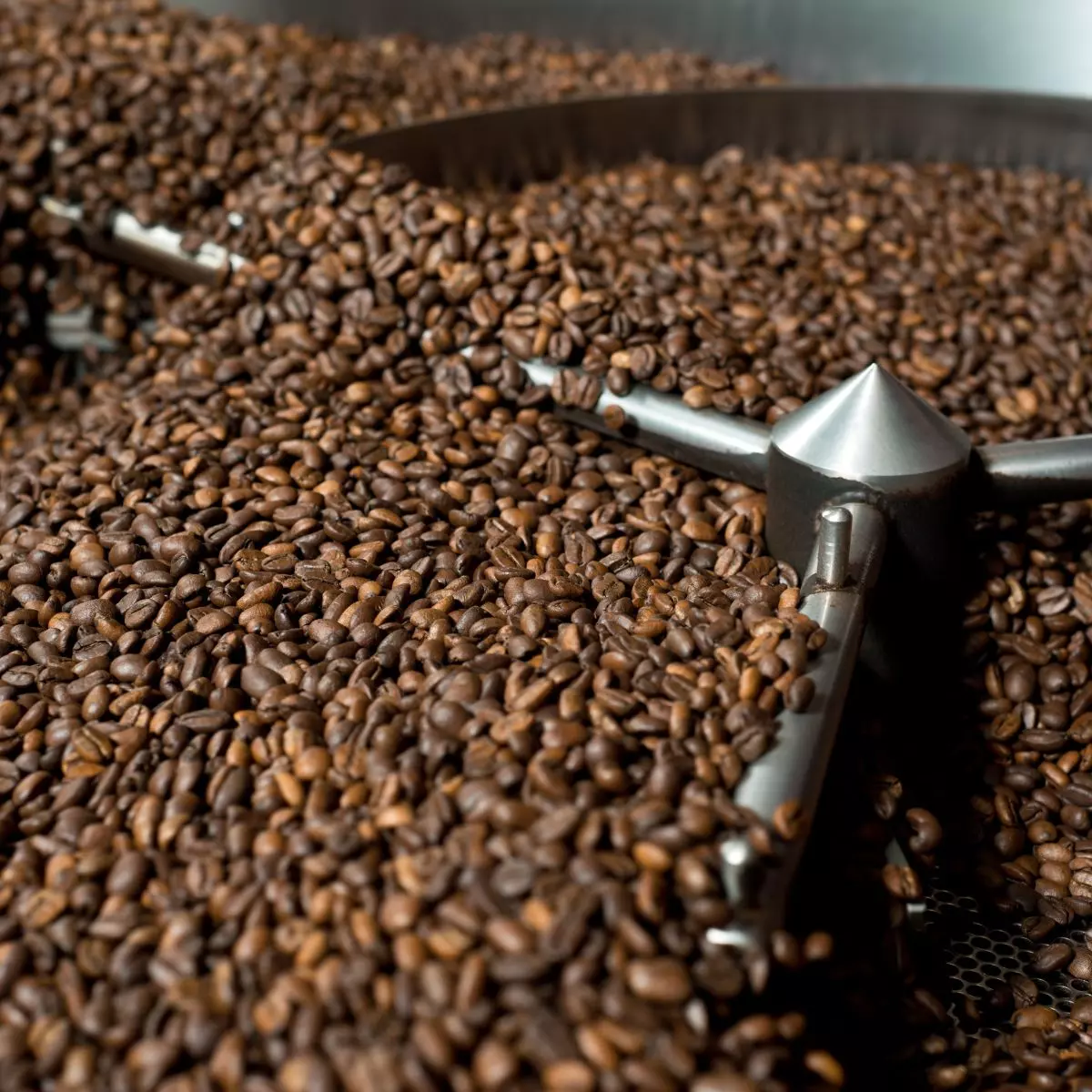 1. Cari Tahu Tentang Reputasi Roastery