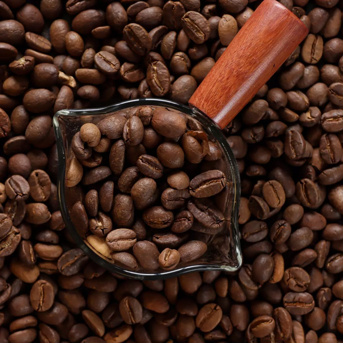 3. Kenali Profil Rasa (Flavor Profile) Biji Kopi