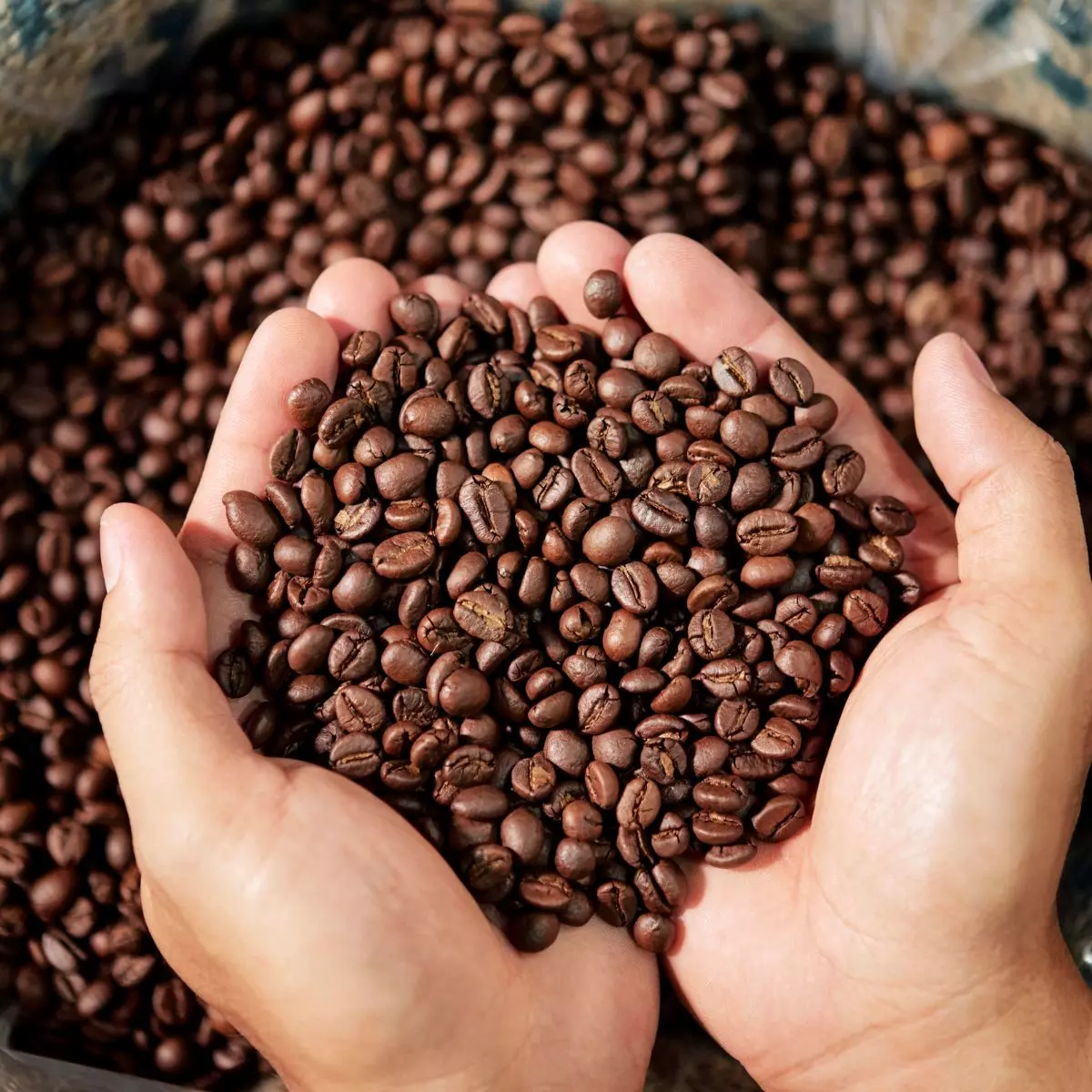 5. Selalu Gunakan Biji Kopi Segar