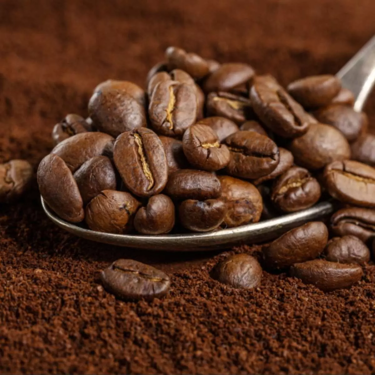 Proses Produksi Bubuk Kopi Kintamani